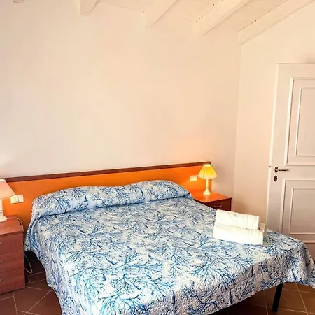 Comfortable Near Appartement Stintino